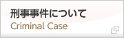 刑事事件について